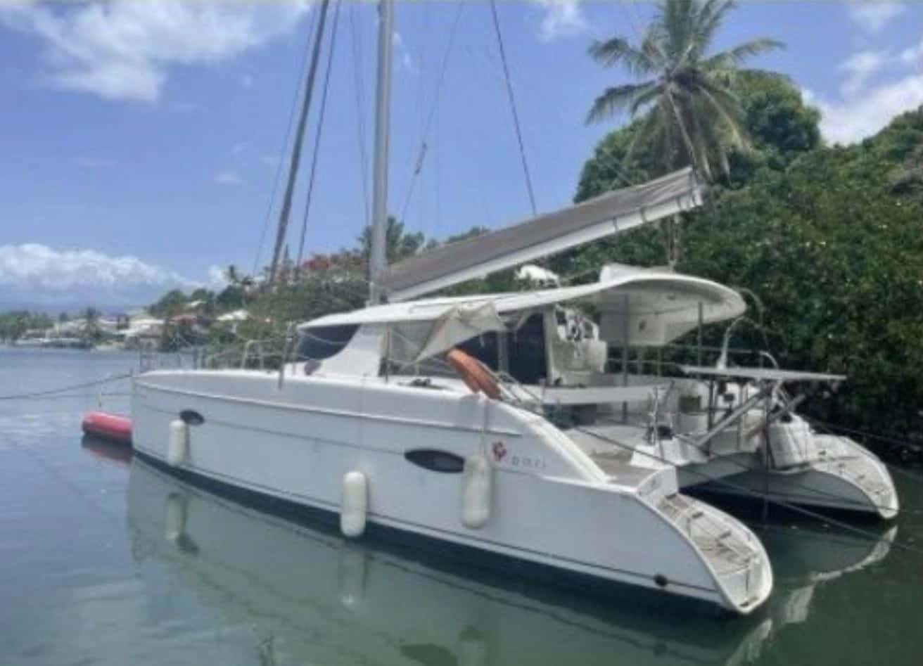 Catamaran, année 2011
