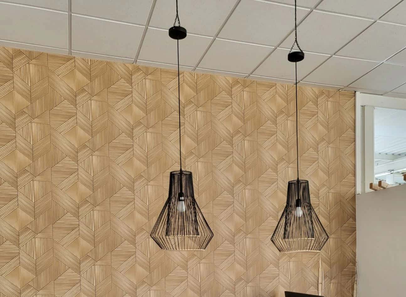 Lot de 2 suspensions "grille noir"