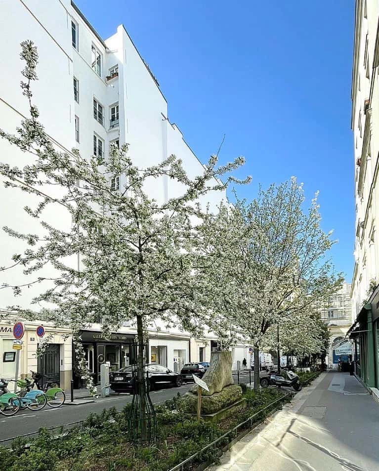 Un studio de 17,11 m² situé rue Mazarine à Paris