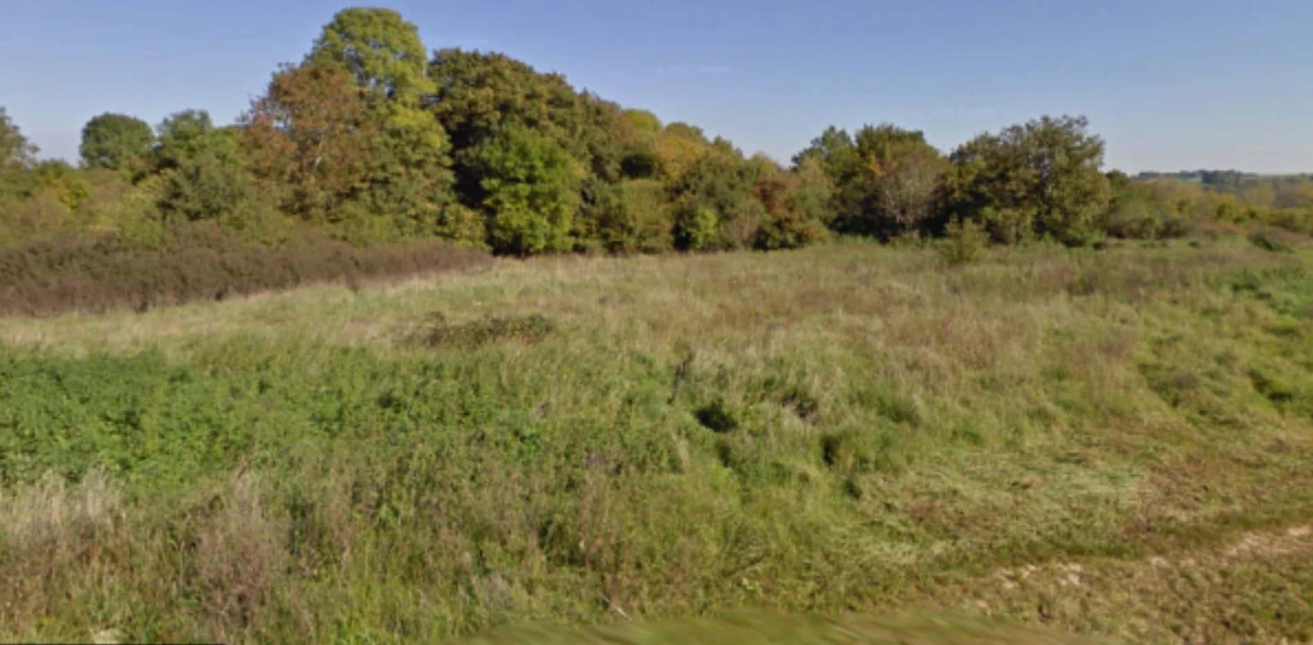 Un terrain boisé de 3250 m² situé au lieu-dit "sur la guiche" à Crépey